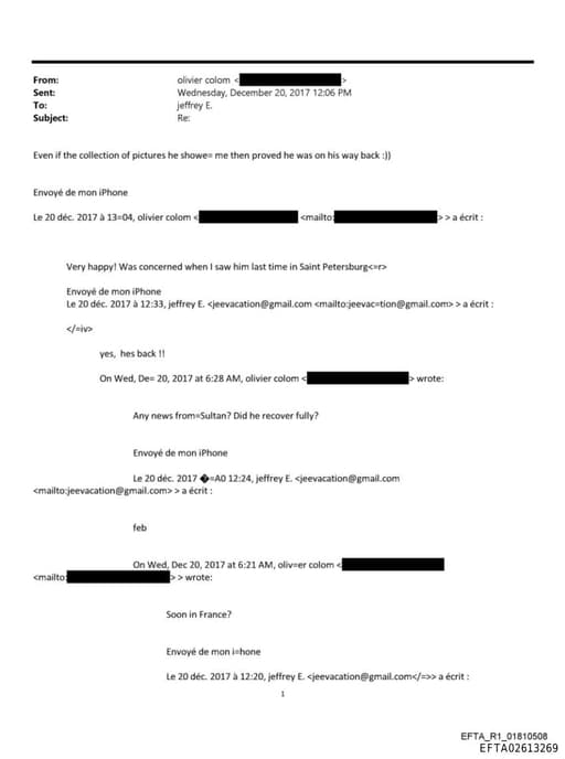 Preview of EFTA02613269