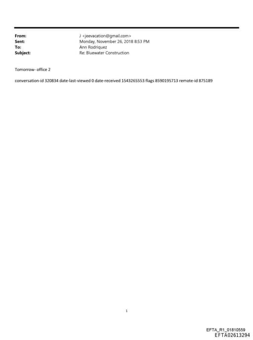 Preview of EFTA02613294