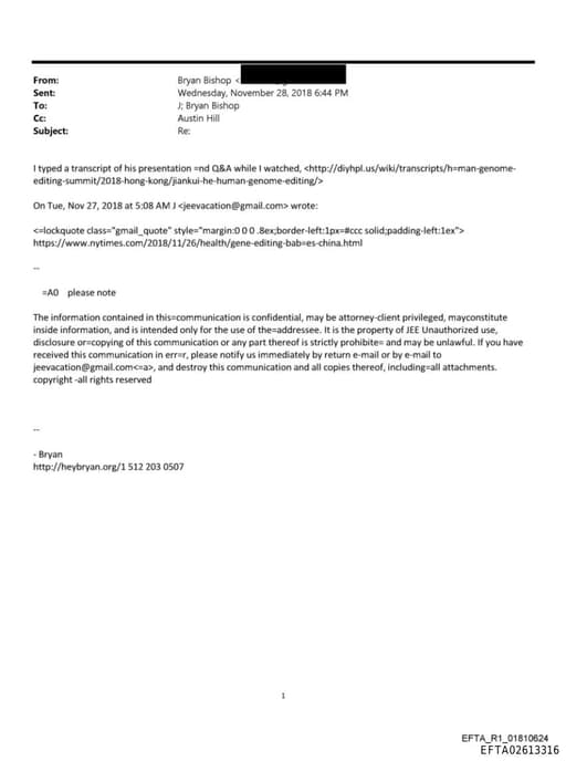 Preview of EFTA02613316