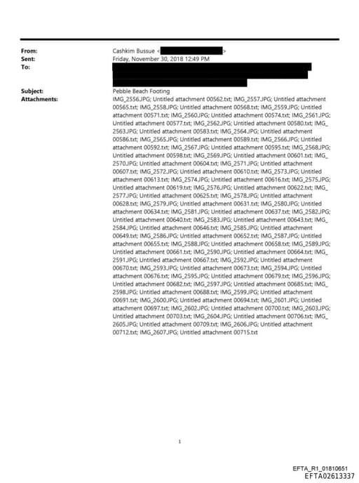 Preview of EFTA02613337