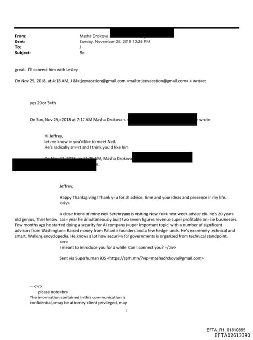 Preview of EFTA02613390