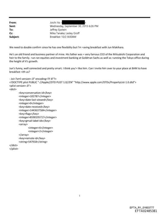 Preview of EFTA02485381