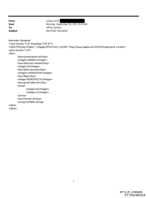 Preview of EFTA02485419