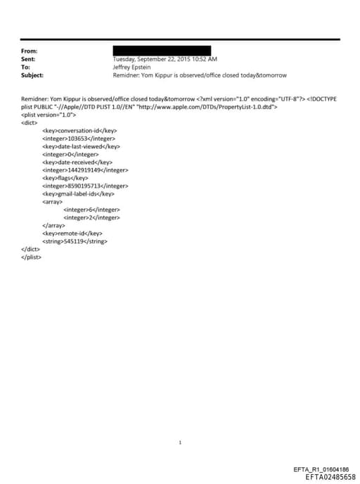 Preview of EFTA02485658