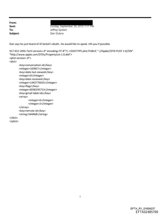 Preview of EFTA02485700