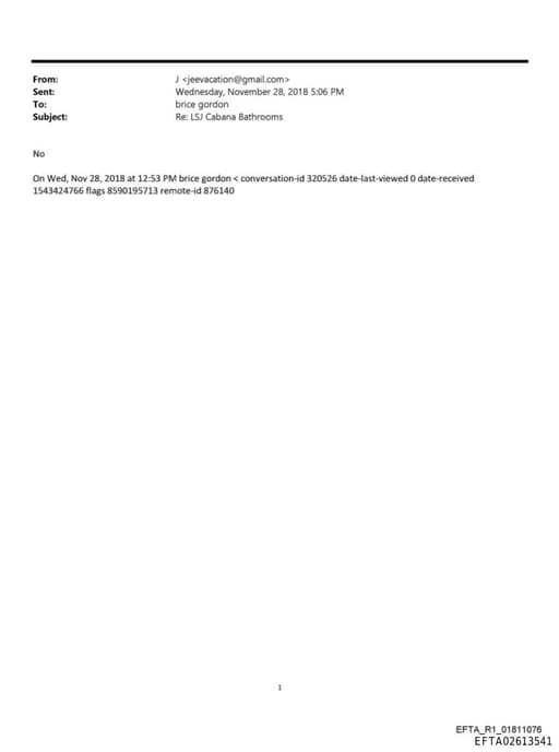 Preview of EFTA02613541