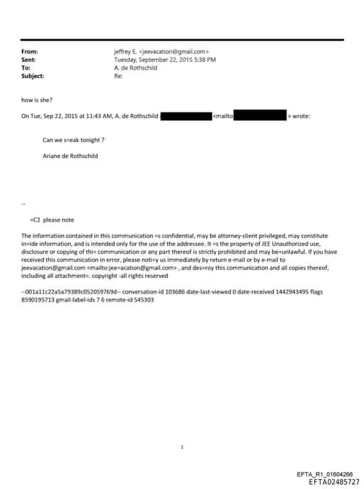 Preview of EFTA02485727