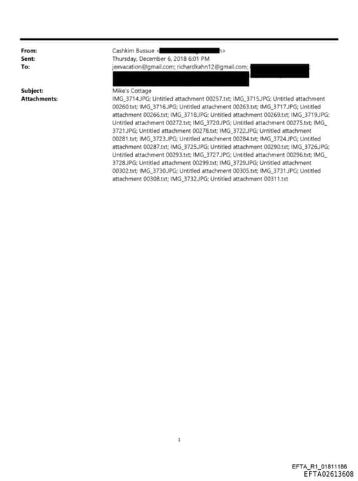 Preview of EFTA02613608