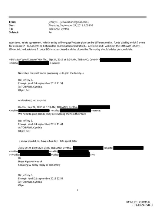 Preview of EFTA02485832