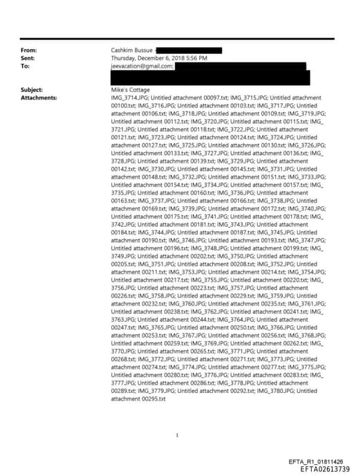 Preview of EFTA02613739