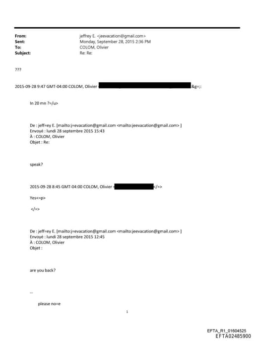 Preview of EFTA02485900