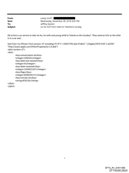 Preview of EFTA02613824