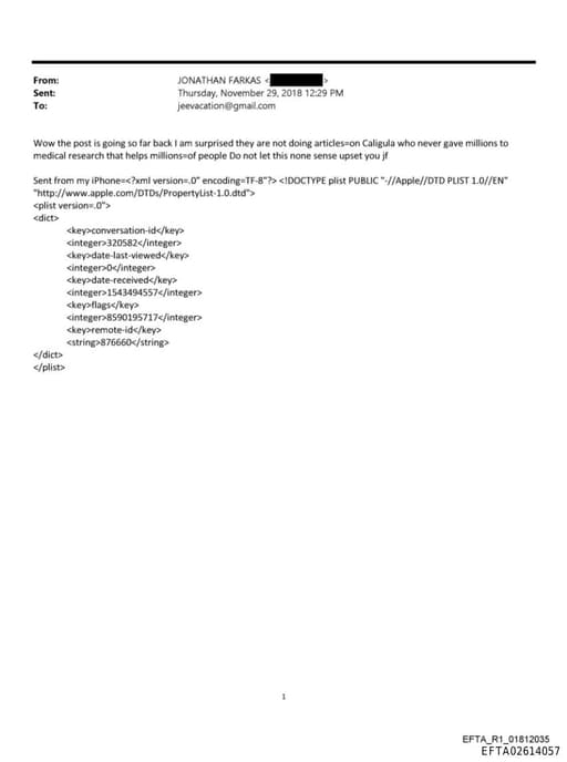 Preview of EFTA02614057