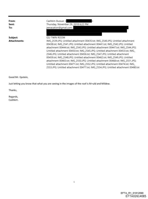 Preview of EFTA02614085