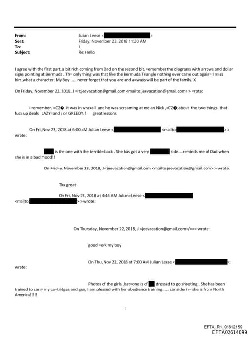 Preview of EFTA02614099