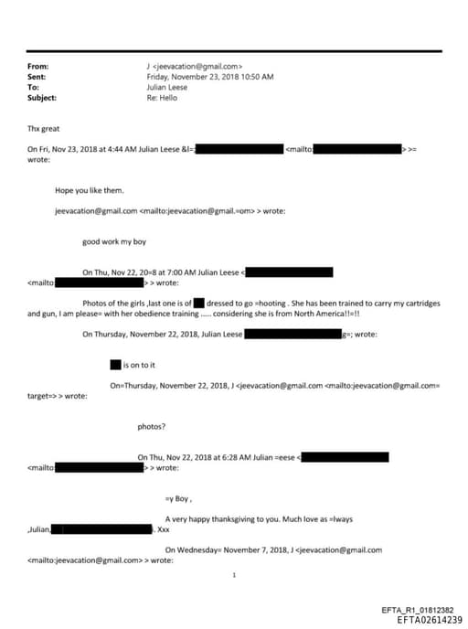 Preview of EFTA02614239