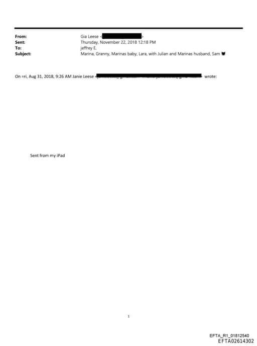 Preview of EFTA02614302