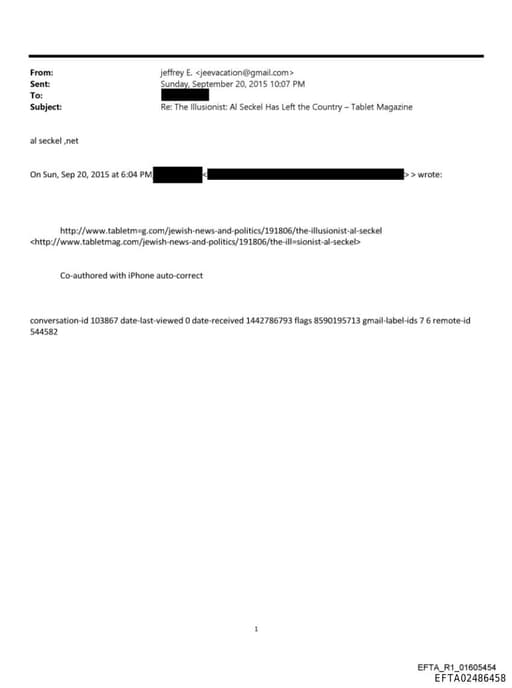 Preview of EFTA02486458