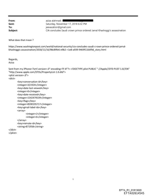 Preview of EFTA02614545