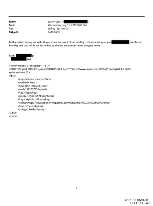 Preview of EFTA02336483