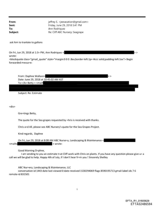 Preview of EFTA02486594