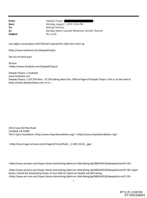 Preview of EFTA02336631