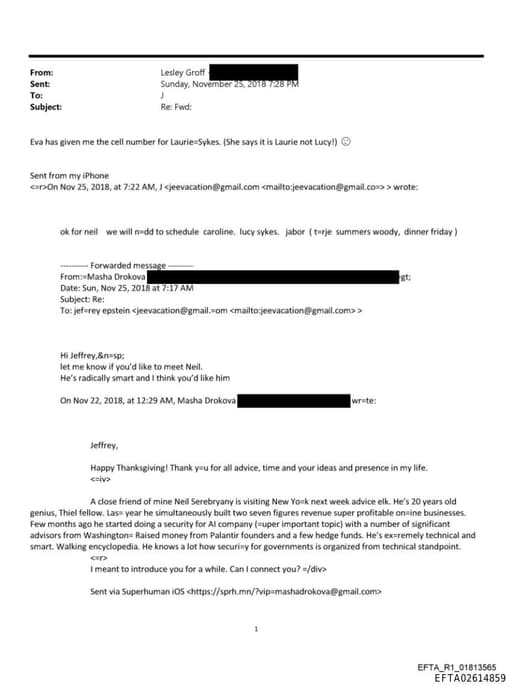 Preview of EFTA02614859