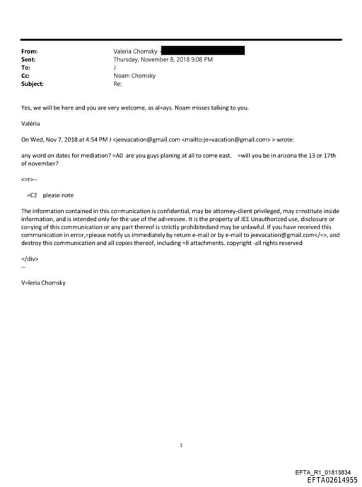 Preview of EFTA02614955