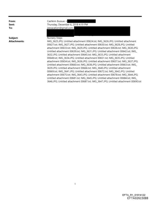 Preview of EFTA02615088