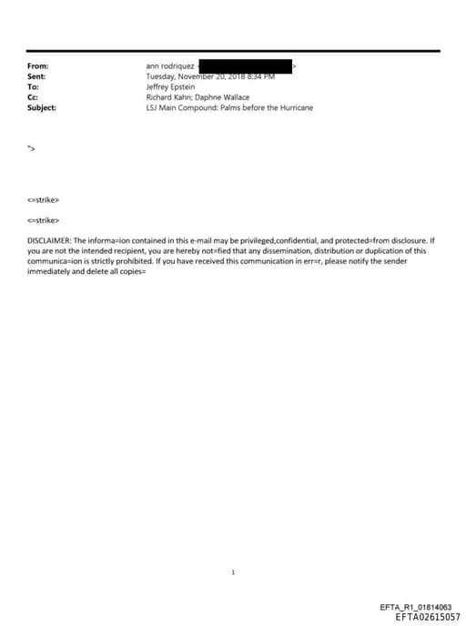 Preview of EFTA02615057