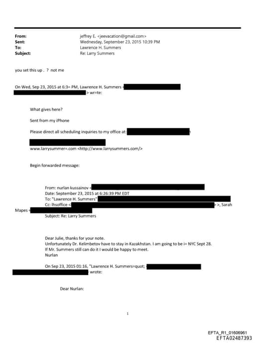 Preview of EFTA02487393