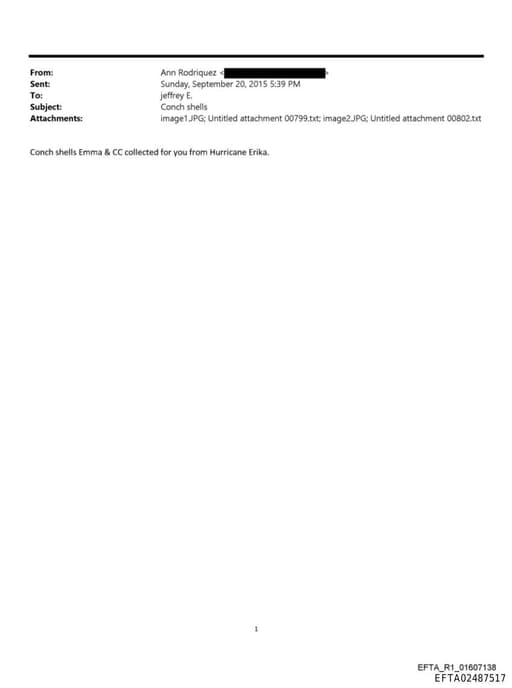 Preview of EFTA02487517