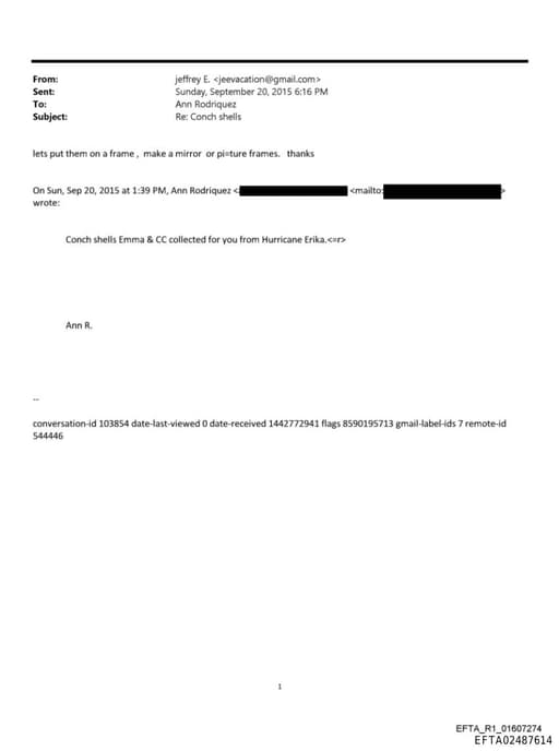 Preview of EFTA02487614