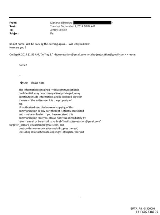 Preview of EFTA02338195