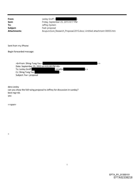 Preview of EFTA02338218