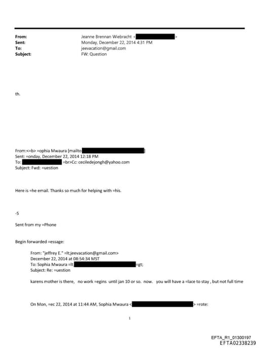 Preview of EFTA02338239