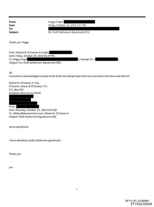 Preview of EFTA02338394