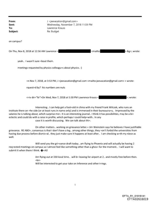 Preview of EFTA02616019