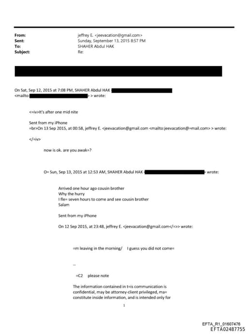 Preview of EFTA02487755