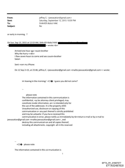 Preview of EFTA02487818