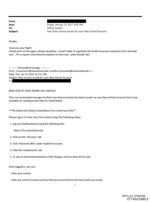 Preview of EFTA02338613