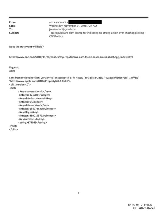 Preview of EFTA02616278