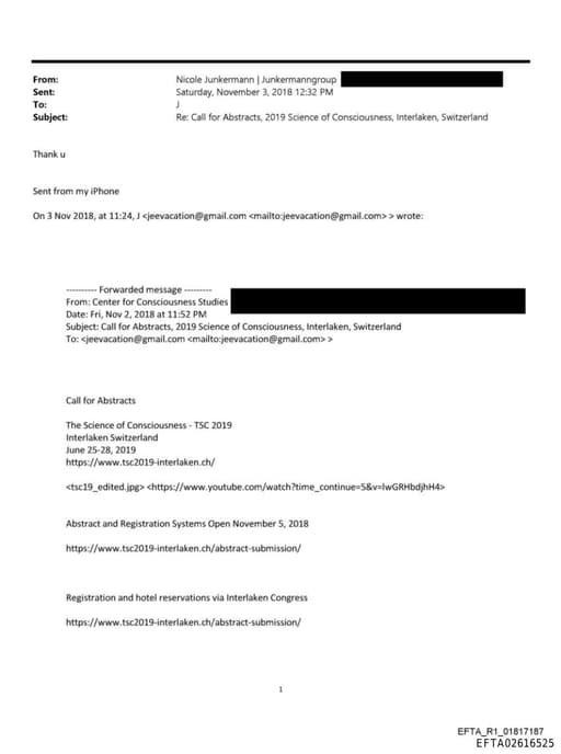 Preview of EFTA02616525