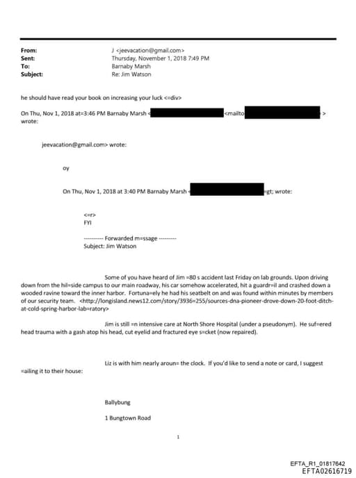 Preview of EFTA02616719