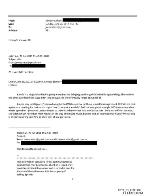 Preview of EFTA02339061