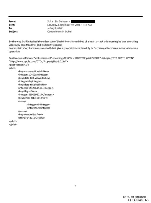 Preview of EFTA02488322