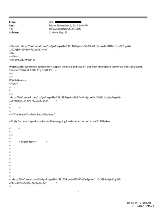 Preview of EFTA02339527