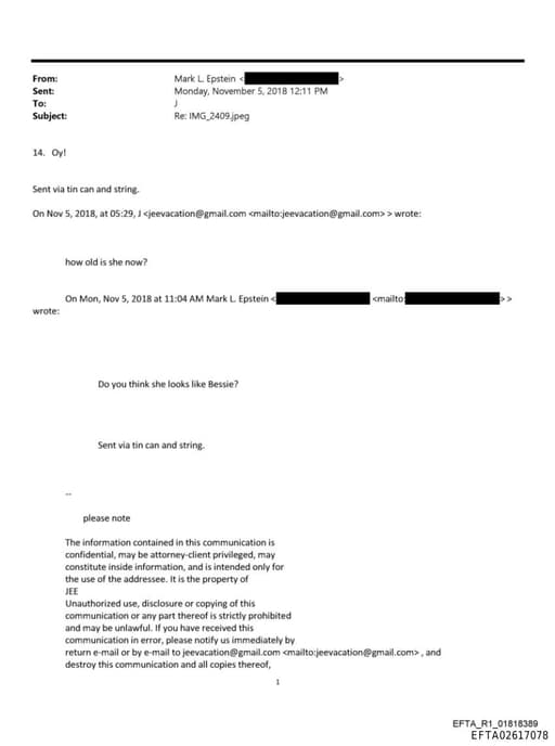 Preview of EFTA02617078