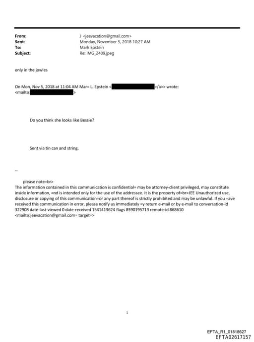 Preview of EFTA02617157