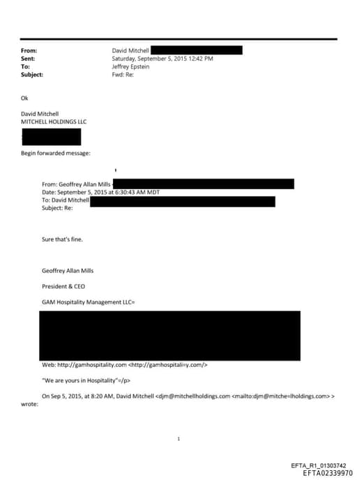 Preview of EFTA02339970